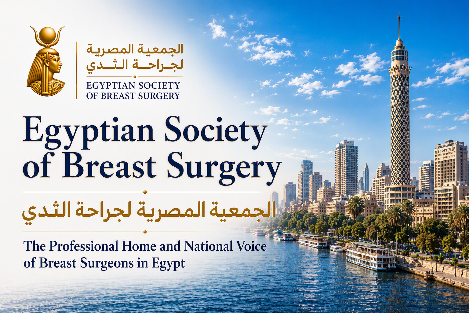Egyptian Society of Breast Surgery